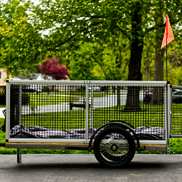 dog trailer