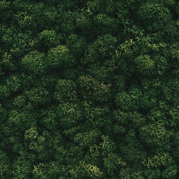 environmentally friendly environmentally friendly